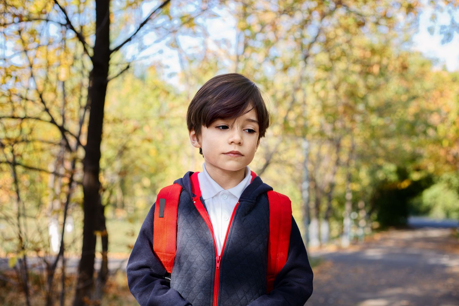 赤いランドセルを背負い一人で並木道を歩く男の子